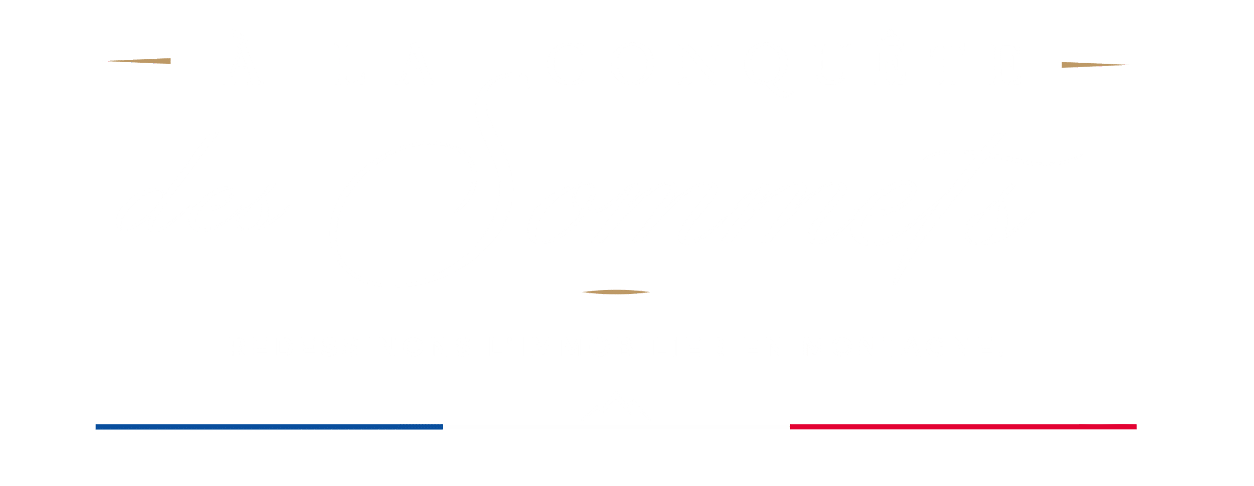Logo à la conquete des sommets